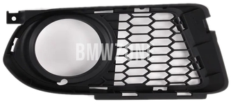 Gitter seitlich rechts BMW 51118041182