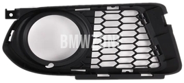 Gitter seitlich rechts BMW 51118041182 (OEM)