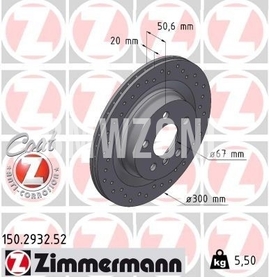 Zadný brzdový kotúč (300x20mm) dierovaný