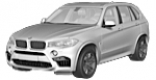 X5 M F85 SAV